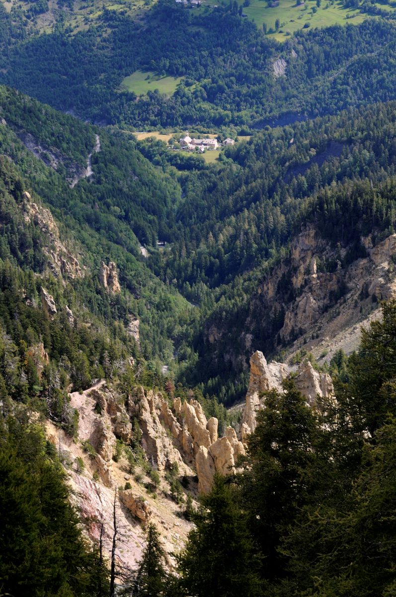 Une vocation pastorale et forestière