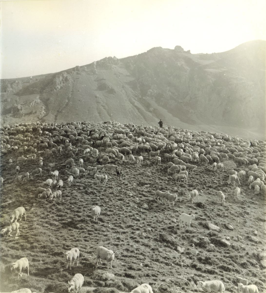 A la découverte...des cabanes de berger