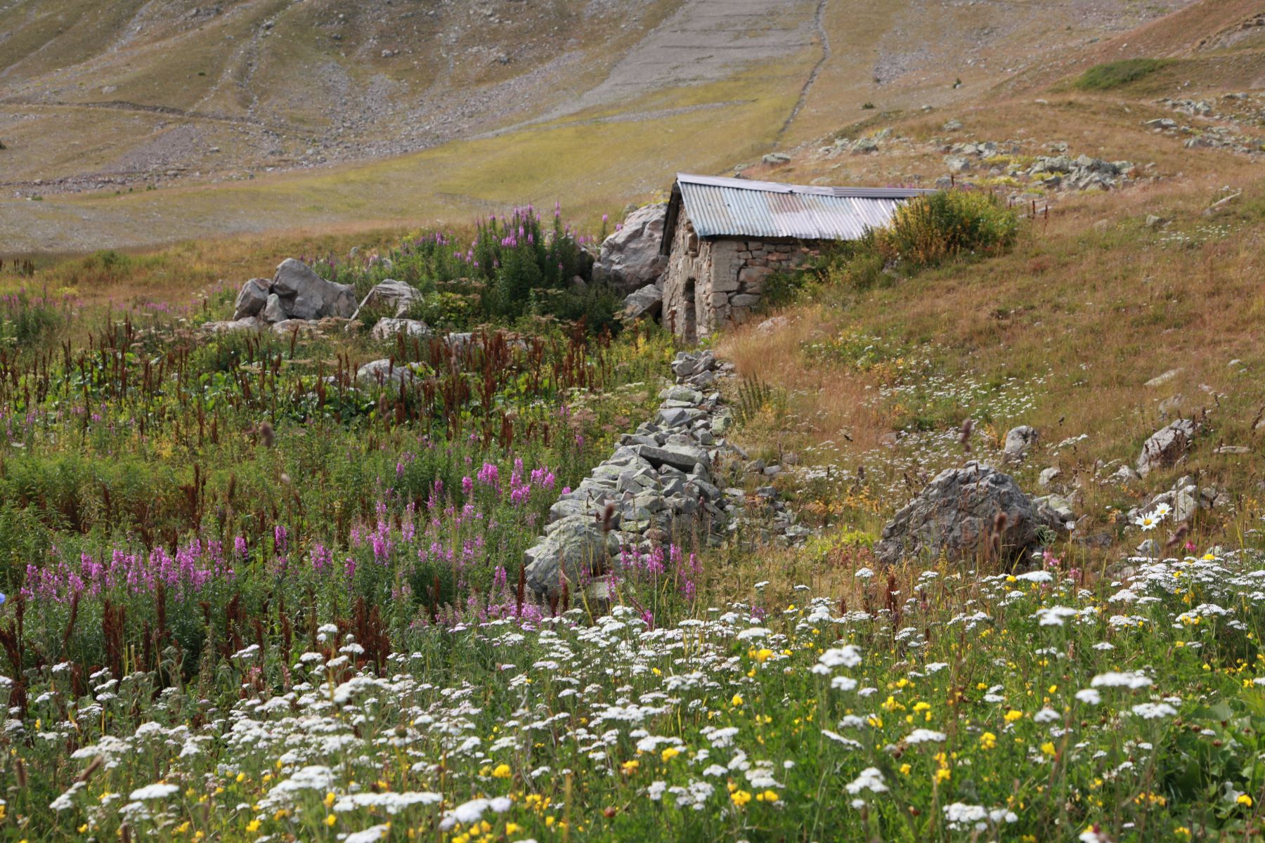 La cabane de berger de Chabrières