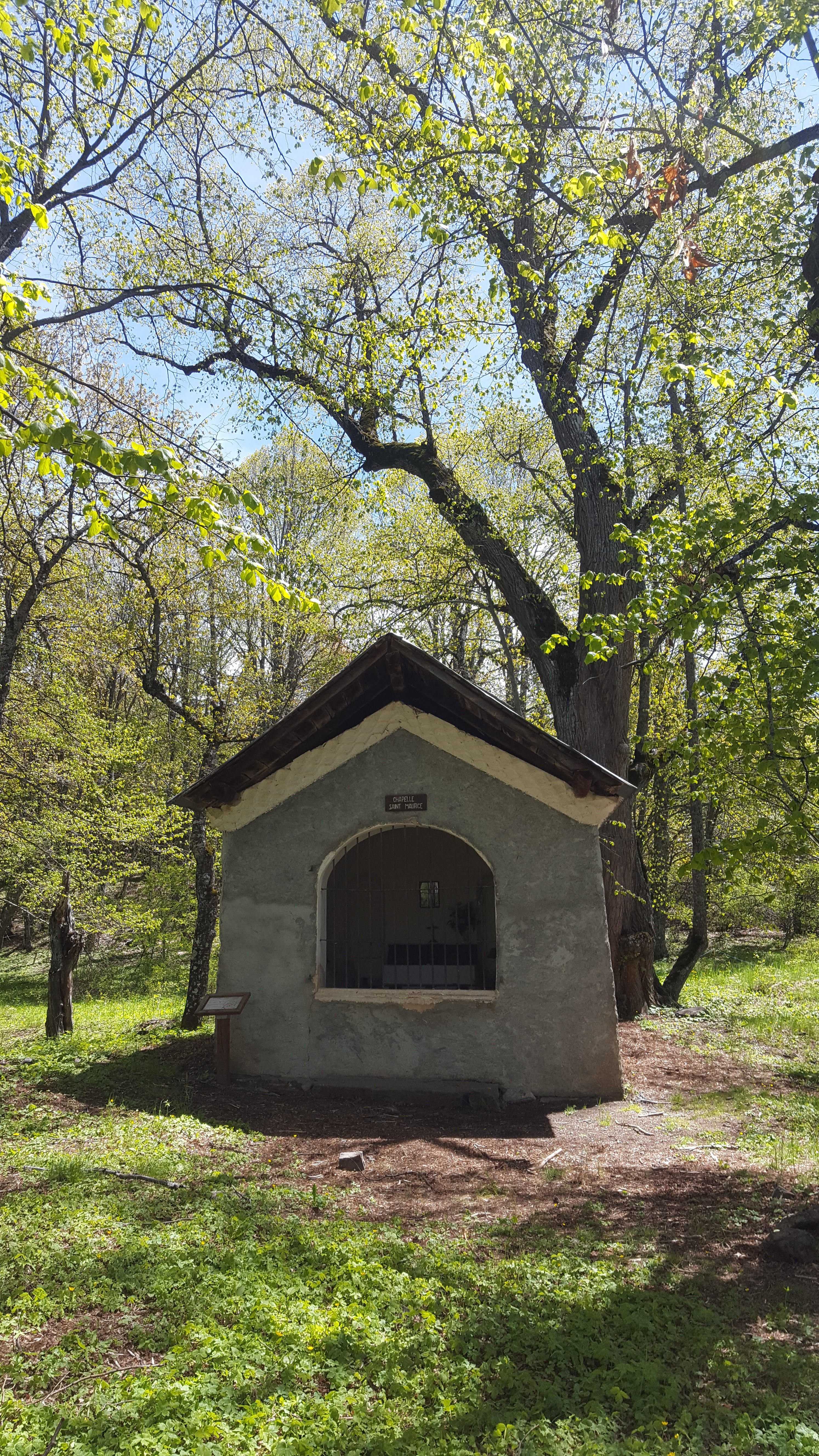 Quelques apparitions