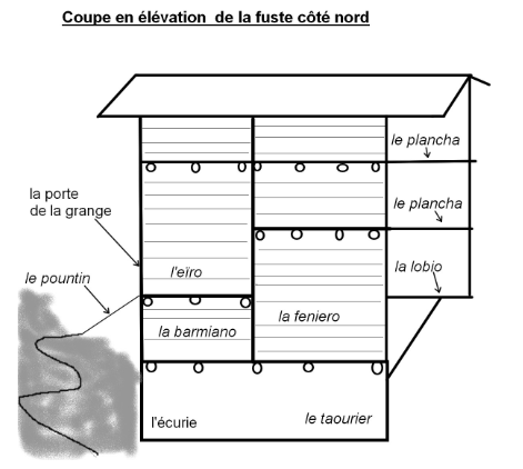 Coupe en élévation de la fuste coté nord 